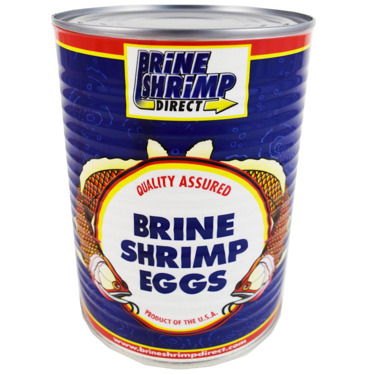 Brine Shrimp Eggs and Supplies