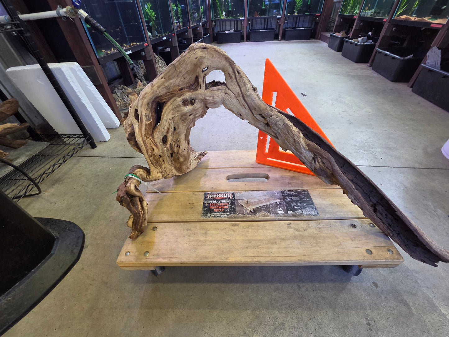 15 in + Driftwood