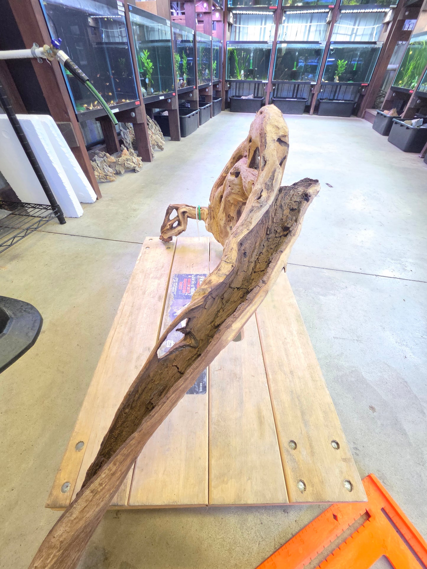 15 in + Driftwood