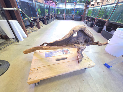 15 in + Driftwood