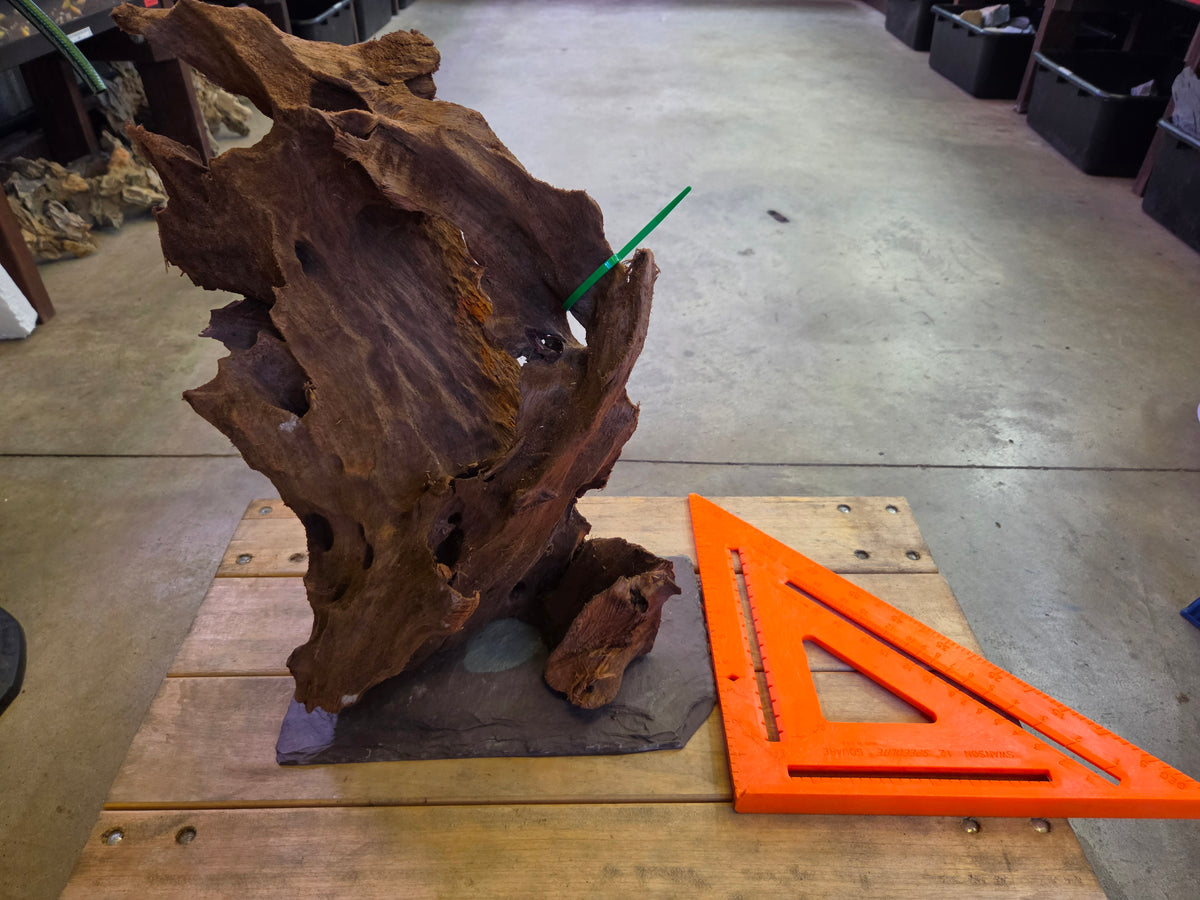 12 in + Driftwood on slate