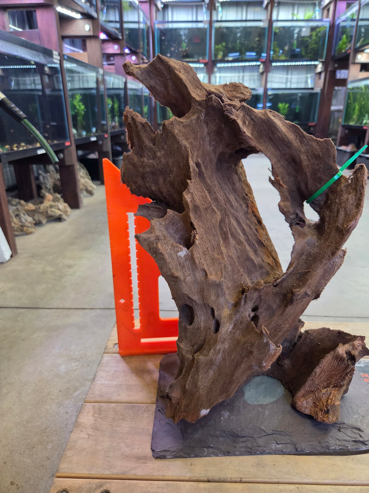 12 in + Driftwood on slate