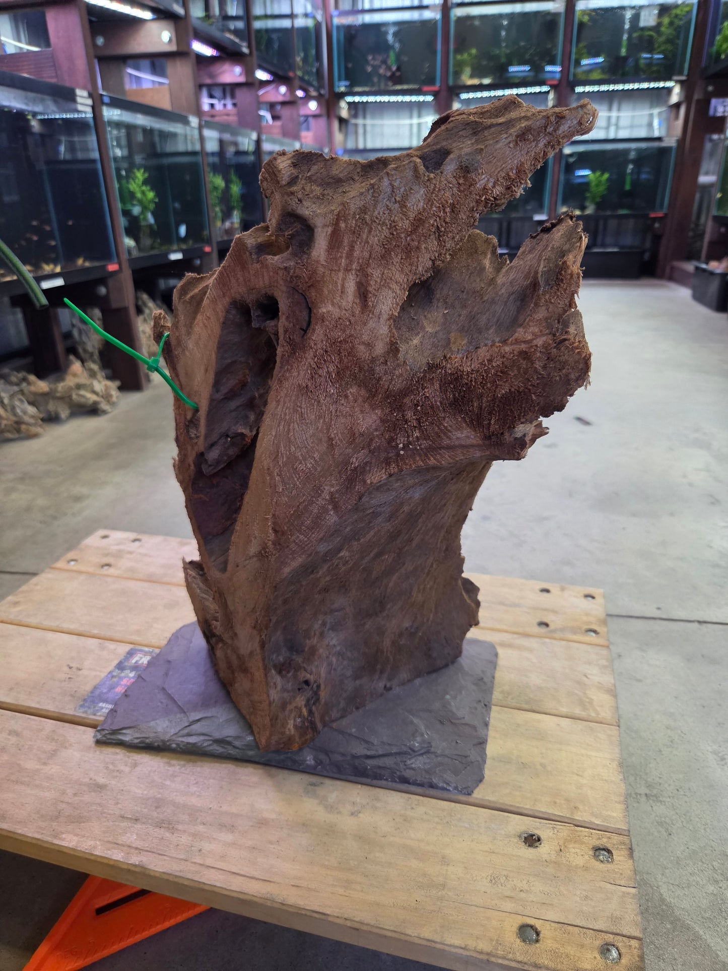 12 in + Driftwood on slate